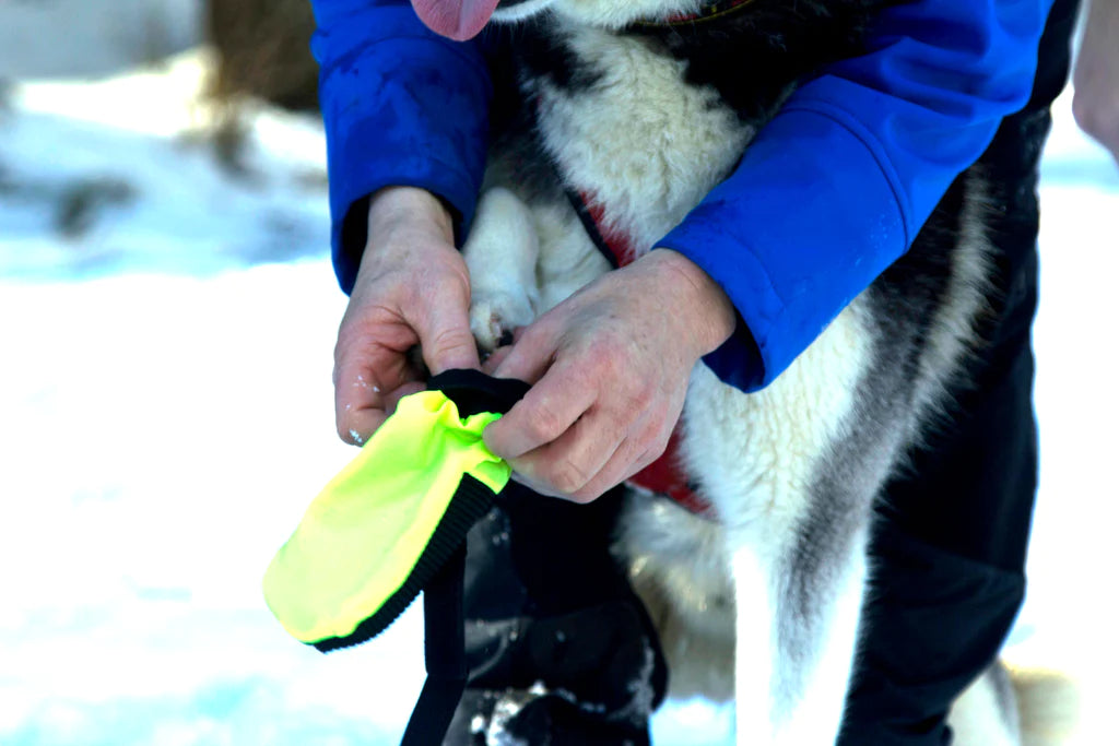 Hype Best Dog Shoes For Walking