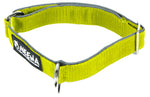 Load image into Gallery viewer, O-Ring Dog Collar - Yellow Dog Collar
