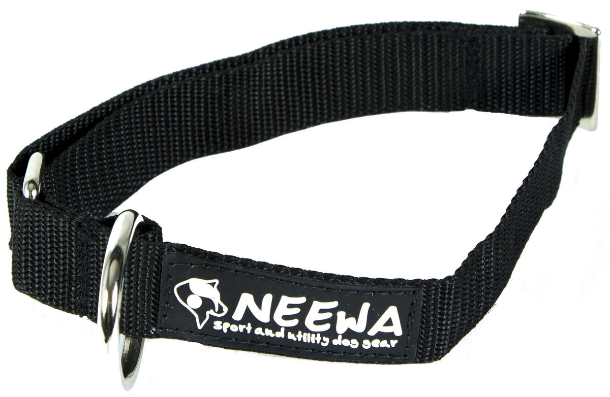 0214_-_Racing_collar_-