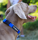 Load image into Gallery viewer, Easy Fit Sport Dog Collar - Main
