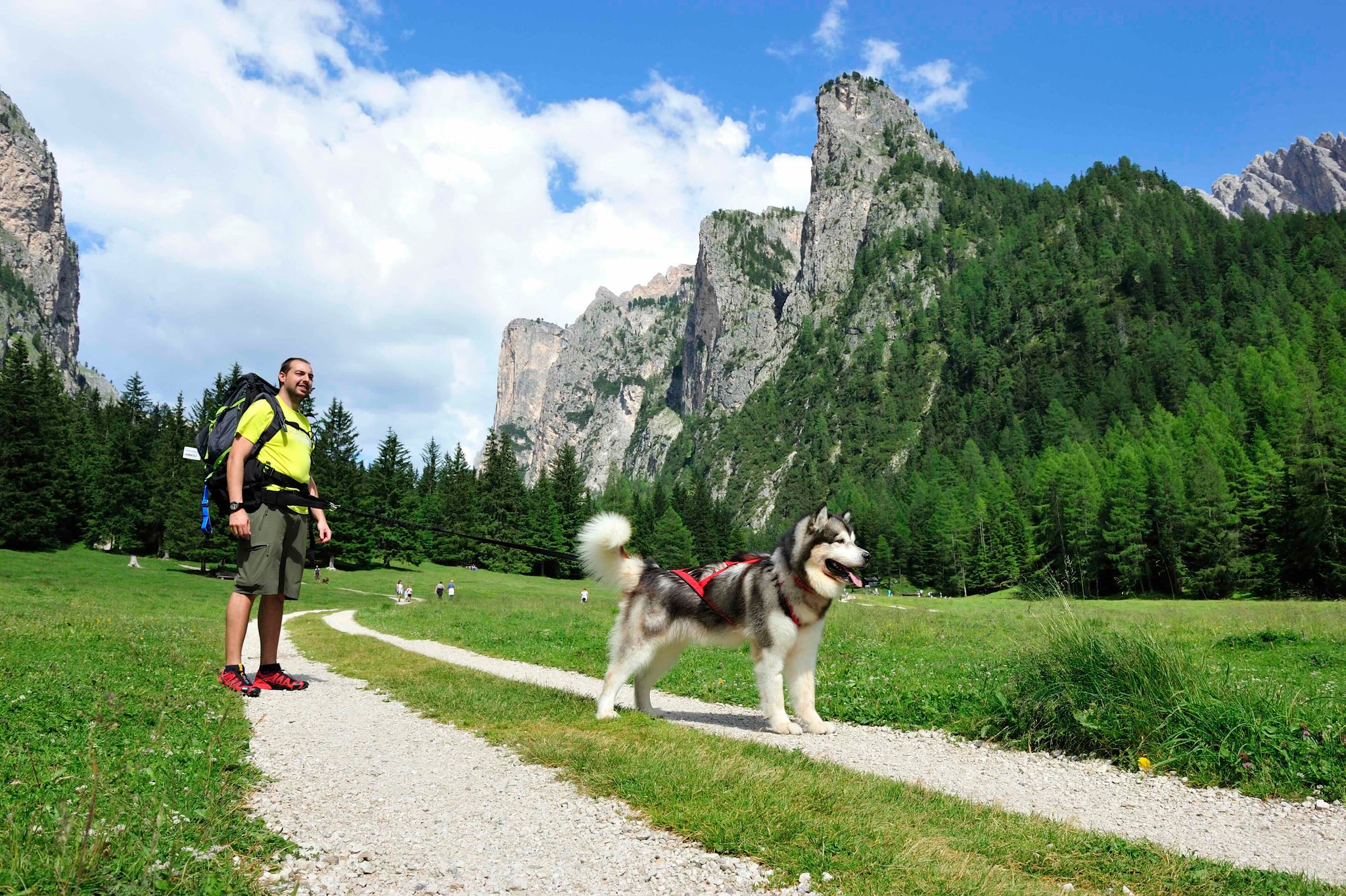 Trailblazing Tails: The Ultimate Guide to Hiking and Canicross Adventures