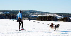 Skijoring with Dogs: The Trendy Outdoor Activity You Need to Try!