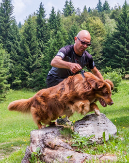 Agility Training