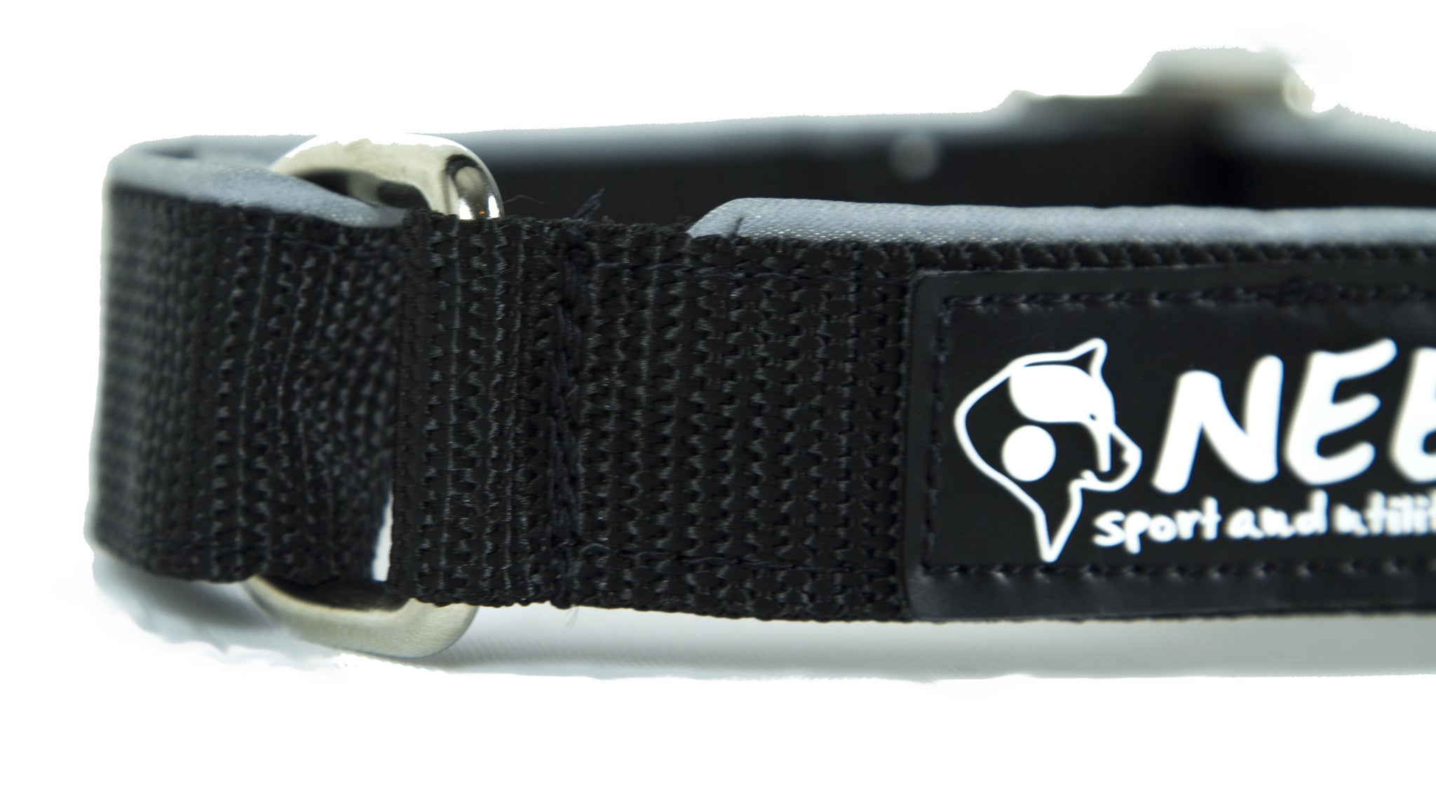 O-Ring Dog Collar - Black Dog Collar Close Up