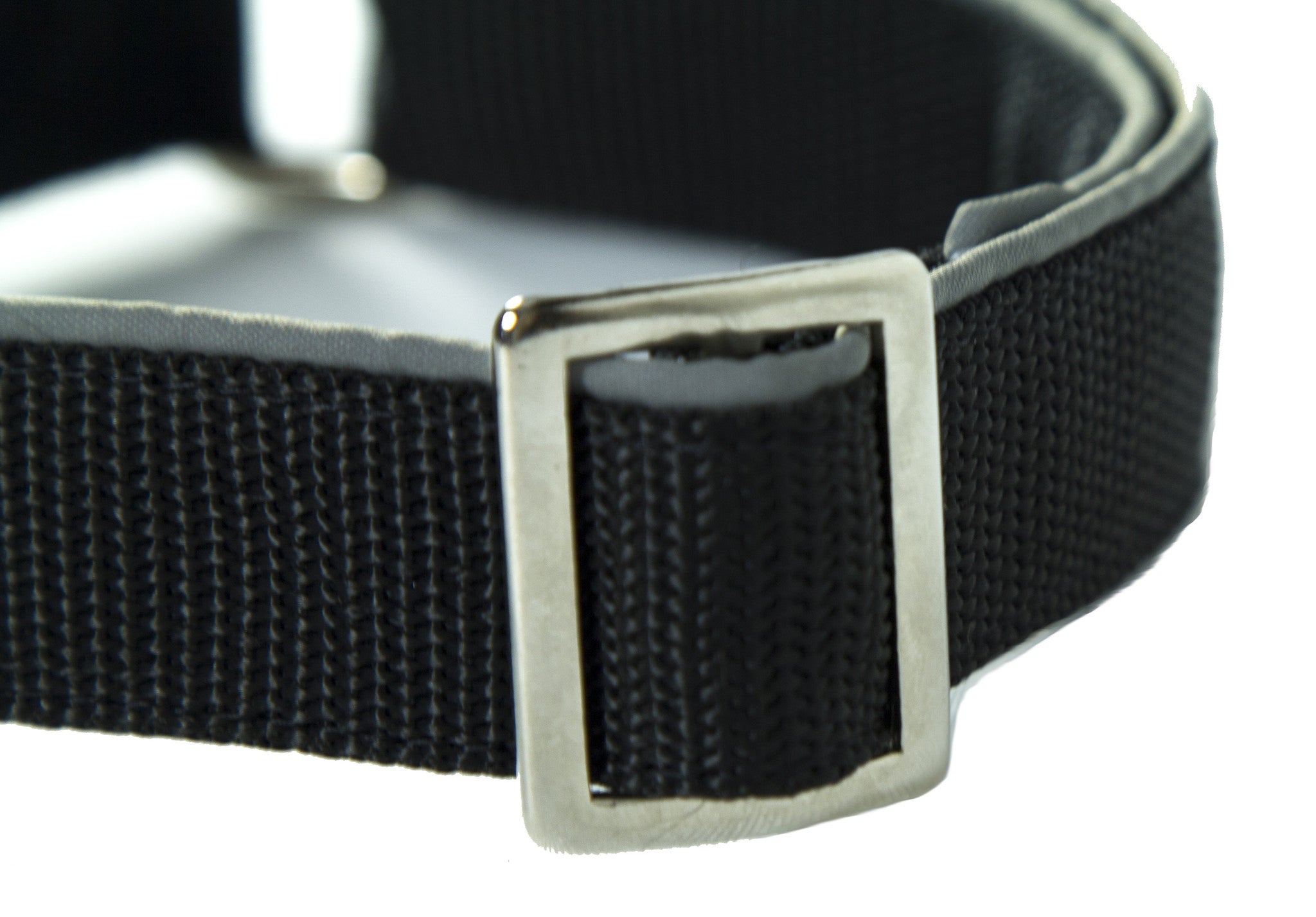 O-Ring Dog Collar -  Adjustable Rings