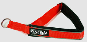 Semi Dog Choke Collar - Red Dog Collar