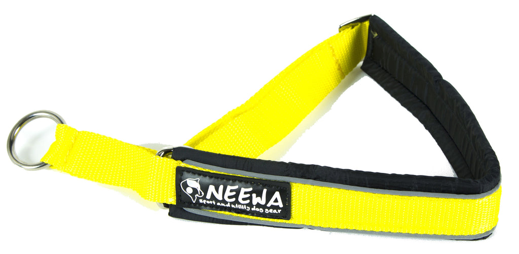 Semi Dog Choke Collar - Yellow Dog Collar