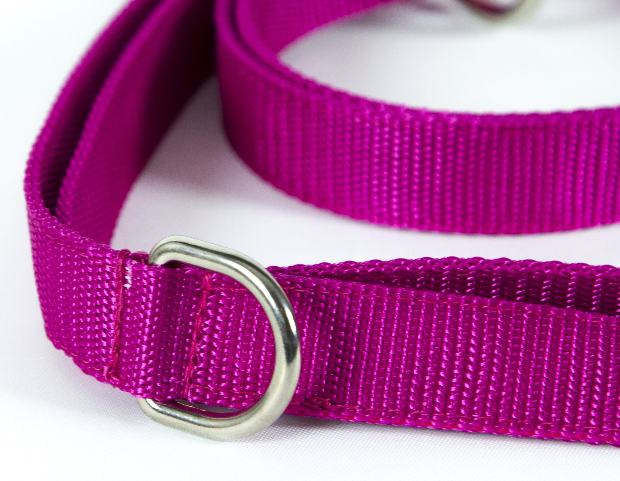 Adjustable Dog Leash - Purple Leash Close Up - Neewa