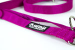 Load image into Gallery viewer, Adjustable Dog Leash - Purple With Logo - Neewa
