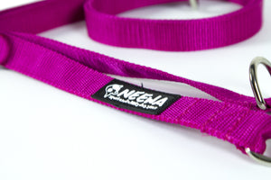 Adjustable Dog Leash - Purple With Logo - Neewa