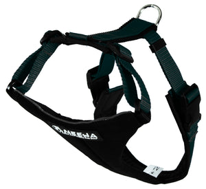 Dog Running Harness