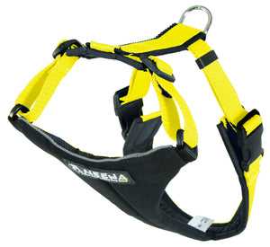 Dog Running Harness