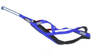 Pro Sled Dog Harness