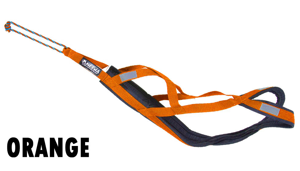 Pro Sled Dog Harness