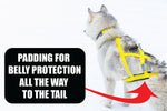 Load image into Gallery viewer, Pro Sled Dog Harness
