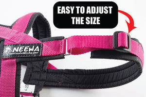 Sport Dog Harness