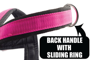 Sport Dog Harness