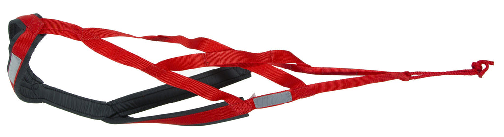 X-Back Racing Harness - Red Harness - Neewa