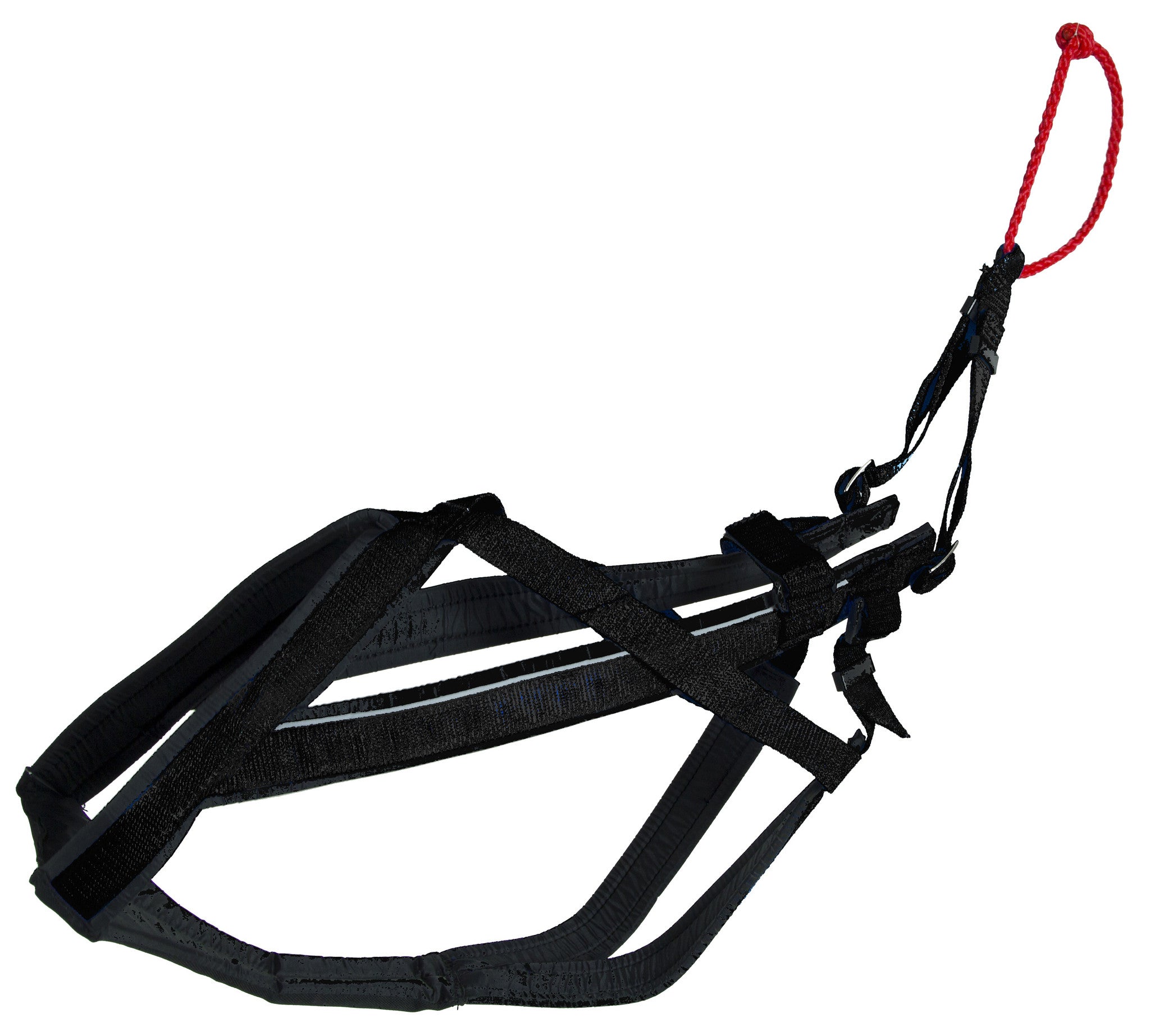 Adjustable Racing Harness