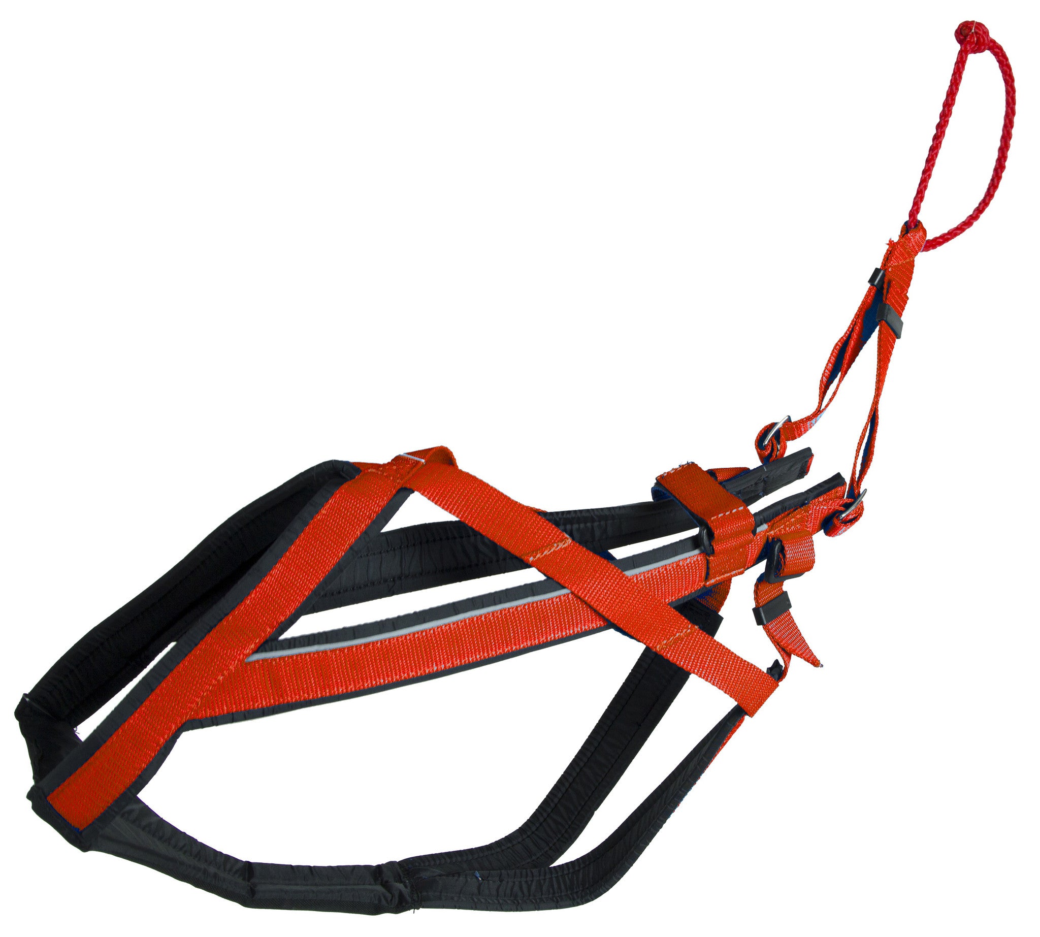 Adjustable Racing Harness