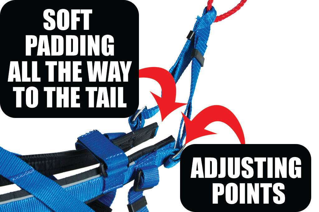 Comfortable Racing Harness The Best Racing Harness // Adjustable & Comfortable // Neewa™