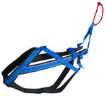 Load image into Gallery viewer, blue Adjustable Racing Harness for dog sports activities
