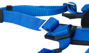 blue Adjustable Racing Harness for dog sports activities