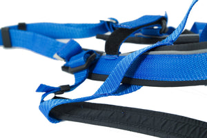 blue Adjustable Racing Harness for dog sports activities