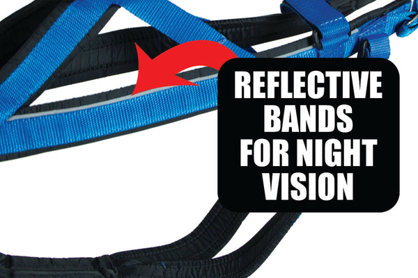 The Best Racing Harness // Adjustable & Comfortable // Neewa™