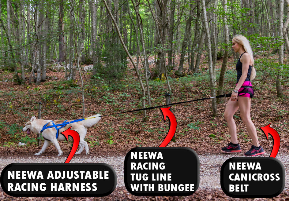 Comfortable Racing Harness The Best Racing Harness // Adjustable & Comfortable // Neewa™