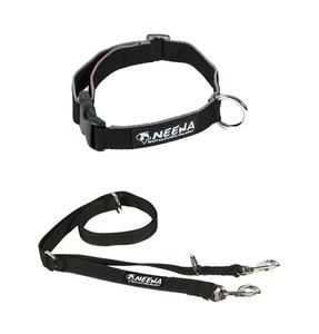 Collar and Leash Bundle