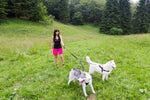 Load image into Gallery viewer, Double Dog Leash Splitter - Woman &amp; Huskies Above - Neewa
