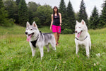 Load image into Gallery viewer, Double Dog Leash Splitter - Woman &amp; Huskies Front - Neewa
