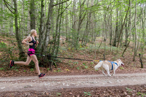 Skijoring & Canicross Belt - Running With Dog