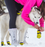 Load image into Gallery viewer, Snow Dog Boots - Main
