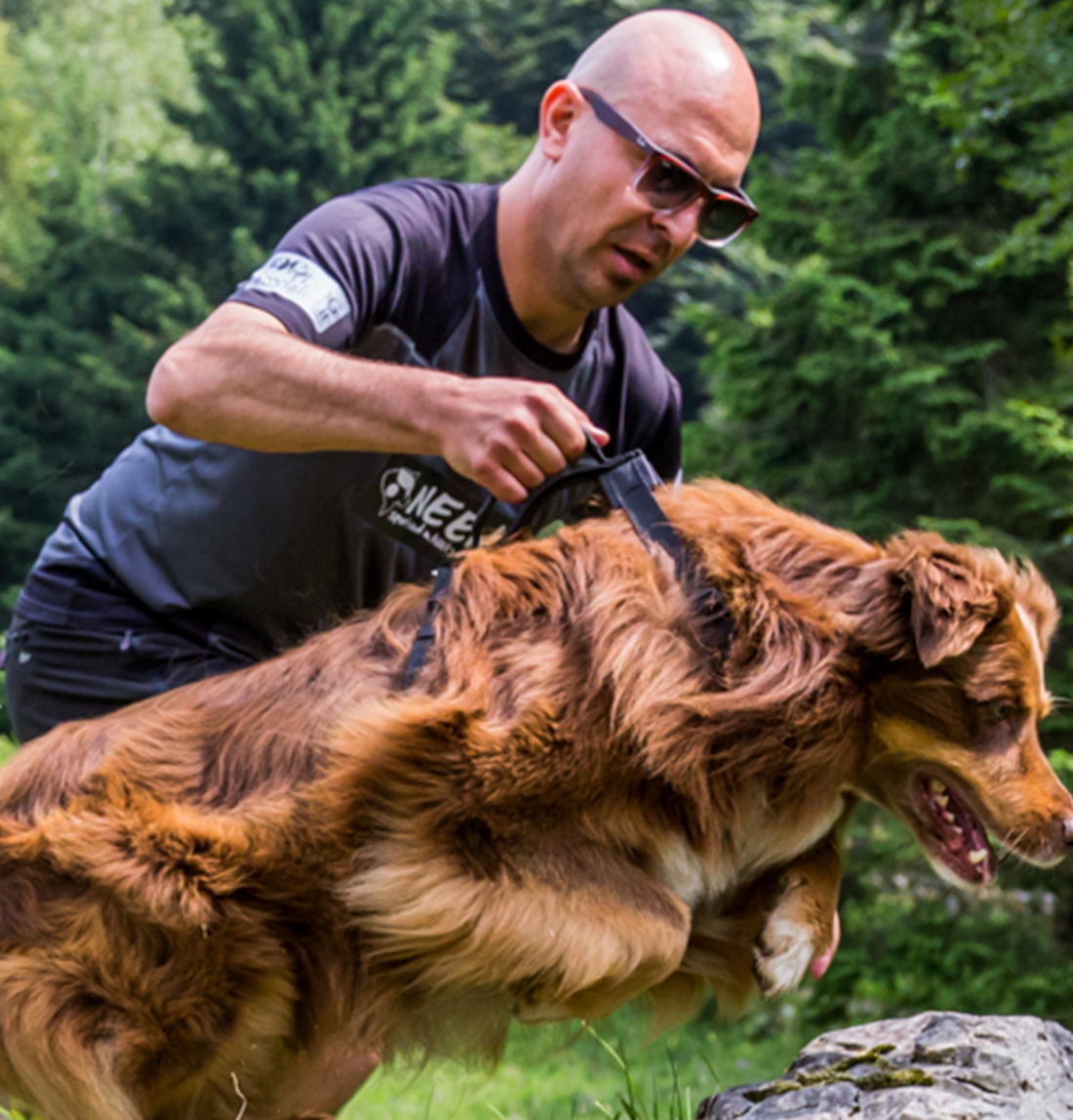 Neewa No Pull Dog Harness // Best Hiking Dog Harness // Neewa™