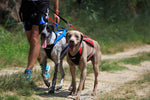 Load image into Gallery viewer, adjustable Racing Harness for dog sports activities hide-PLP_Home
