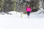 Load image into Gallery viewer, Snow Dog Boots - Walking
