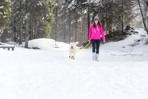 Snow Dog Boots - Walking