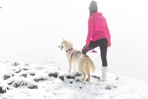 Dog Running Harness