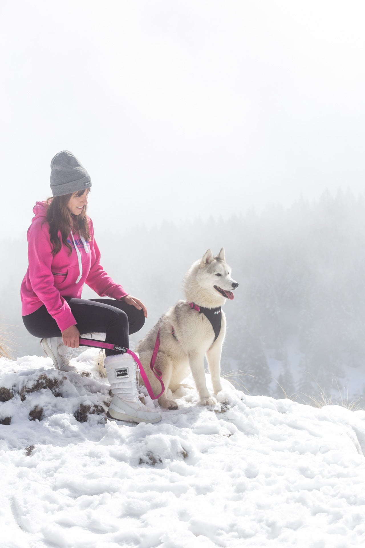 Dog Running Harness