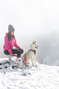 Dog Running Harness