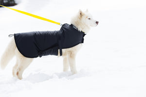 Snow Dog Coat - Standing Up