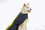 Load image into Gallery viewer, Snow Dog Coat - Side 2
