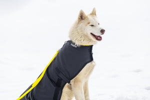 Snow Dog Coat - Side 2