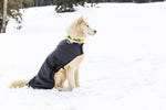Load image into Gallery viewer, Snow Dog Coat - Side
