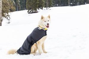 Snow Dog Coat - Side 3
